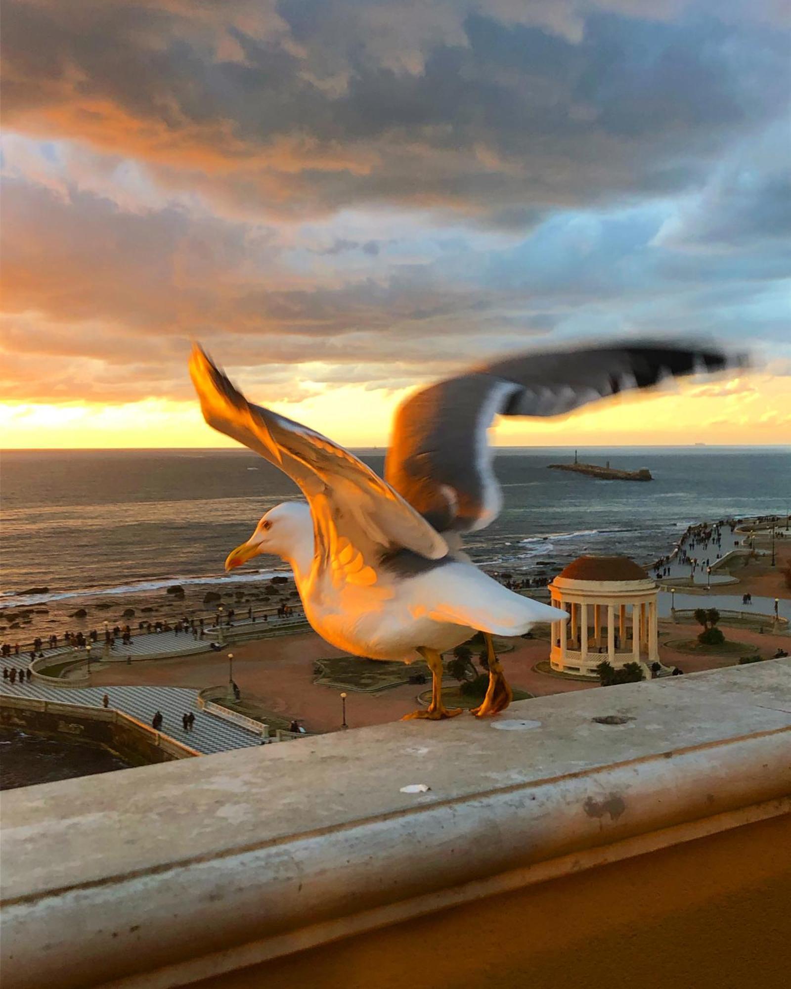 Livorno Apartment ภายนอก รูปภาพ
