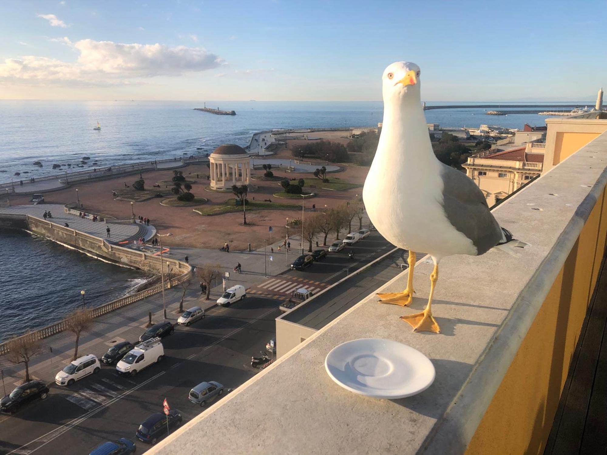 Livorno Apartment ภายนอก รูปภาพ